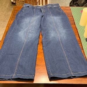 Democracy Women’s  Deep Blue Relaxed Jeans